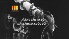 phong-chong-ma-tuy