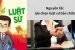 Nguyên tắc lựa chọn luật sư bào chữa