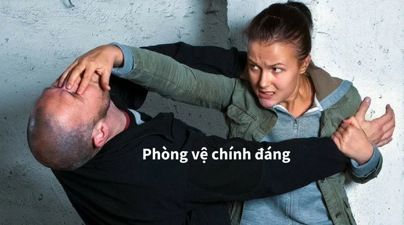 phong-ve-chinh-dang-theo-phap-luat