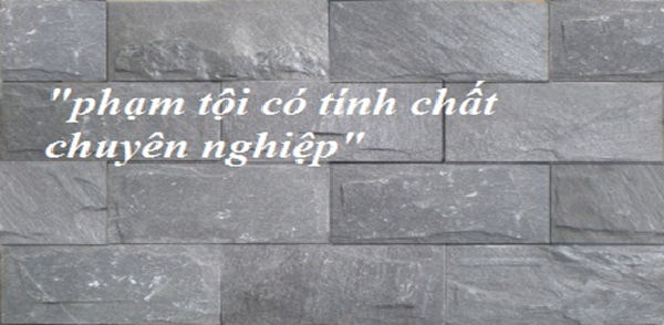 Khi nào thì được xem là phạm tội có tính chất chuyên nghiệp 