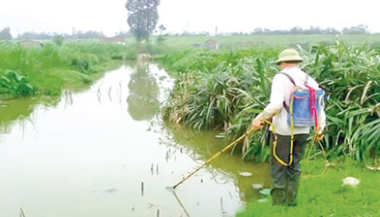 Phạt tiền đối với hành vi sử dụng điện trái phép. Phạt tiền đối với hành vi sử dụng điện trái phép.