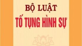 Luật tố tụng hình sự.