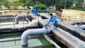 Thông tư số 23/2022/TT-BNNPTNT chính thức có hiệu kể từ ngày 28/02/2023
