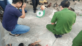 Hành vi ăn trộm gà