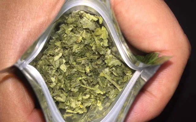 sử dụng cỏ mỹ bị phạt như thế nào