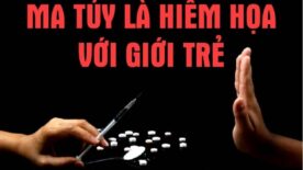 sử dụng ma tuý có đi tù không