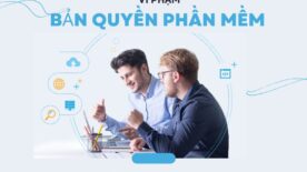 vi phạm bản quyền phần mềm