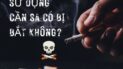 sử dụng cần sa có bị bắt không