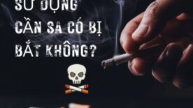 sử dụng cần sa có bị bắt không
