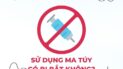 sử dụng ma túy có bị bắt không