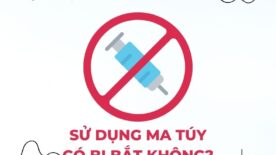 sử dụng ma túy có bị bắt không