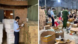 Sản xuất buôn bán hàng giả là thực phẩm có bị phạt tù không?