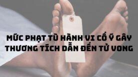 Mức phạt tù hành vi cố ý gây thương tích dẫn đến tử vong
