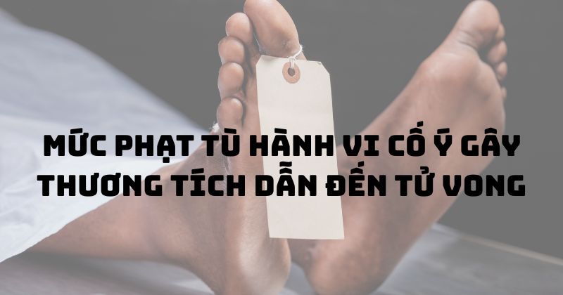 Mức phạt tù hành vi cố ý gây thương tích dẫn đến tử vong
