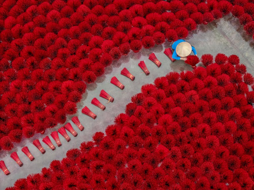 Sơ đồ các hàng thừa kế theo pháp luật