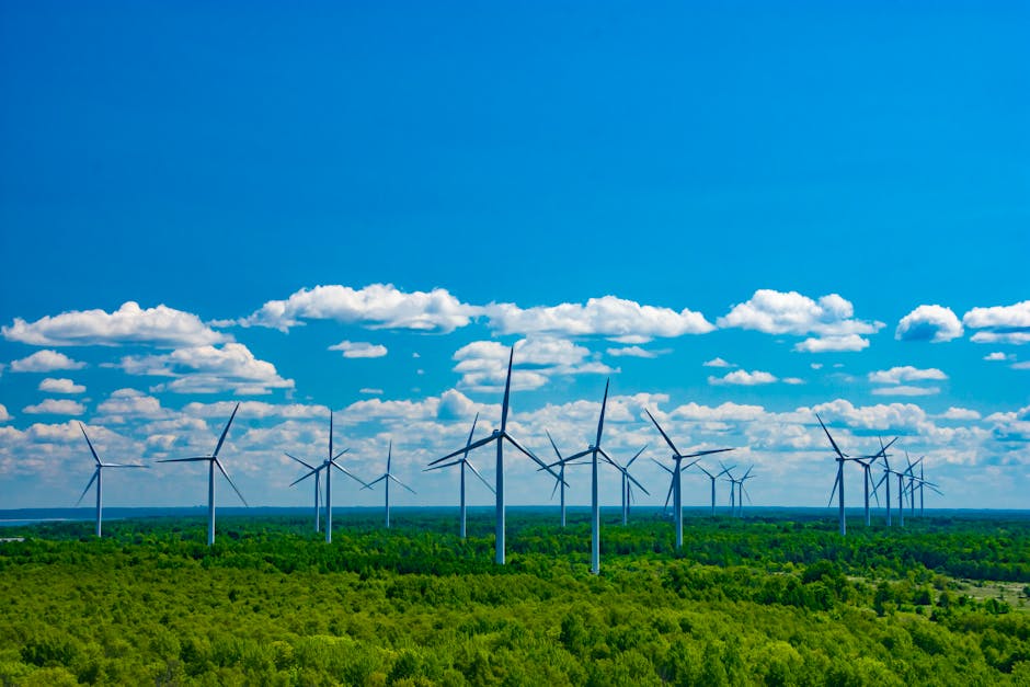 Giấy chứng nhận tín chỉ carbon và các biểu tượng bảo vệ môi trường