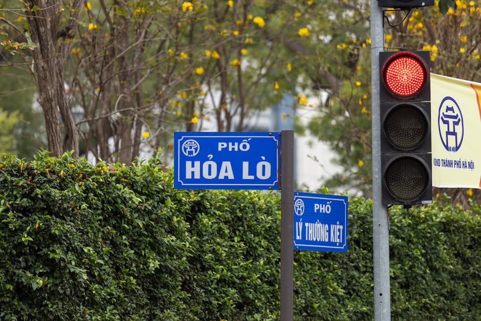 Biểu tượng công lý và y tế Biểu tượng công lý và y tế