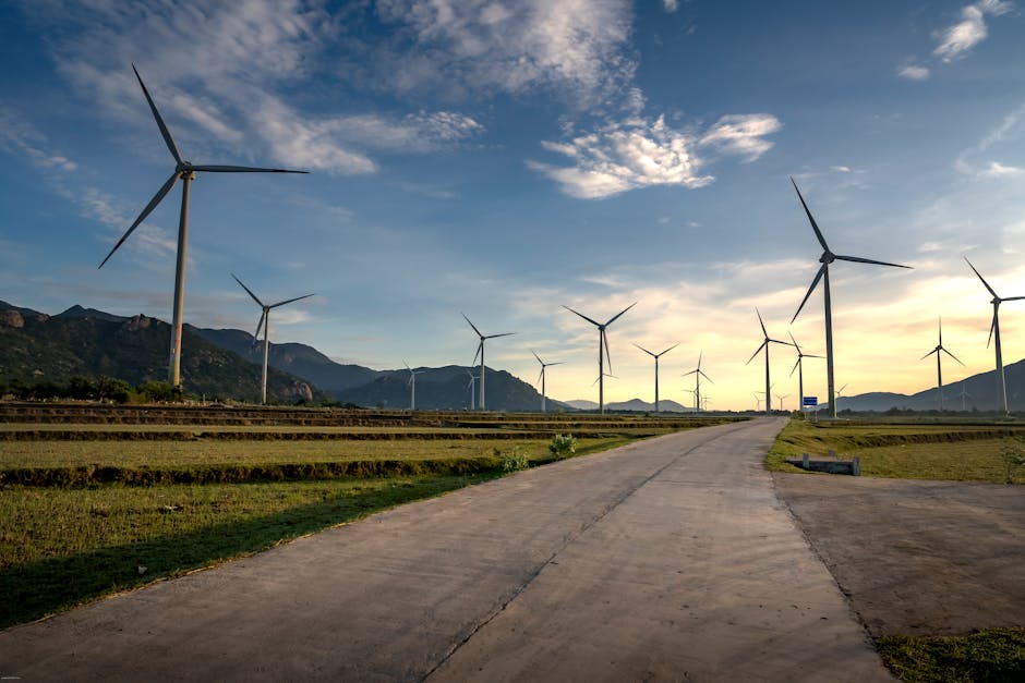 Biểu đồ quy trình giải thể công ty TNHH