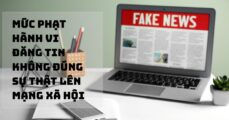 Đăng tin không đúng sự thật lên mạng xã hội bị phạt bao nhiêu tiền?