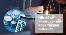 Hành vi chiếm đoạt tài sản nhà nước là gì? Biện pháp xử lý