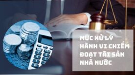 Mức xử lý hành vi chiếm đoạt tài sản nhà nước